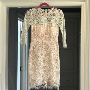 Lace Overlay Dress